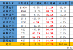 皮卡2024年銷車28萬輛！新能源大漲60%！